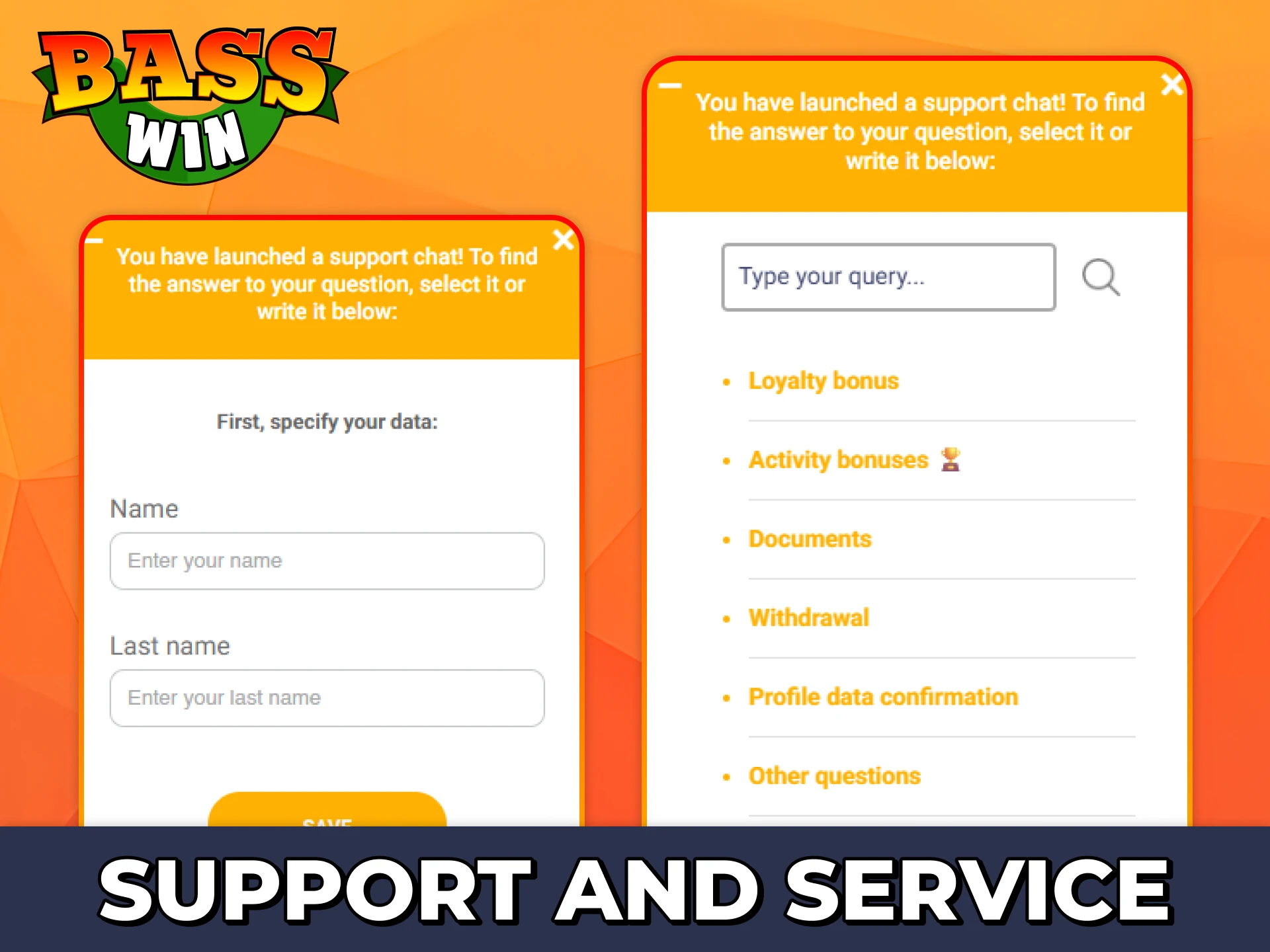 Contact Bass Win support team with any of provided methods.